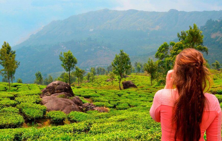 PARADISE FOR HONEYMOONERS – KERALA(5N/6D)