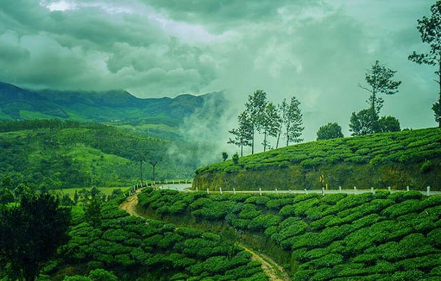 PARADISE FOR HONEYMOONERS – KERALA(5N/6D)