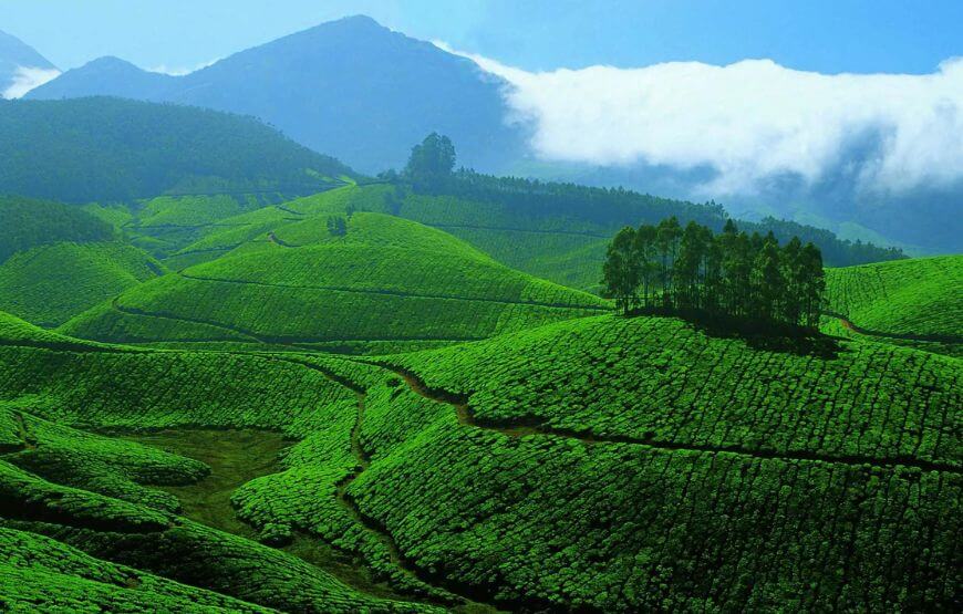 PARADISE FOR HONEYMOONERS – KERALA(5N/6D)