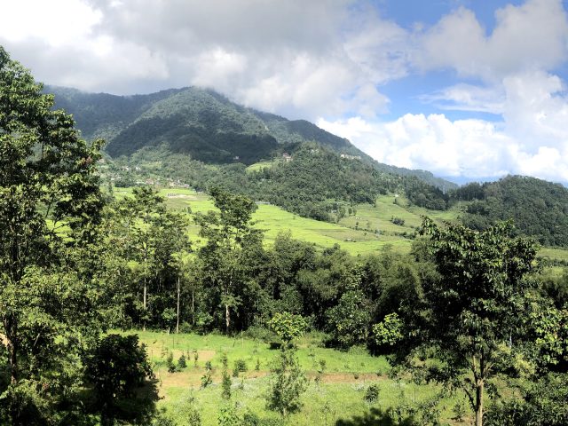North East India in June: Where the Monsoon Feels Like a Gift, Not a Disruption | Mantra journeys