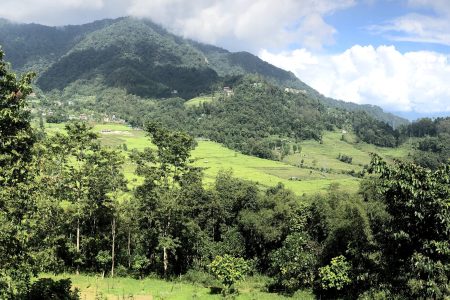 North East India in June: Where the Monsoon Feels Like a Gift, Not a Disruption | Mantra journeys